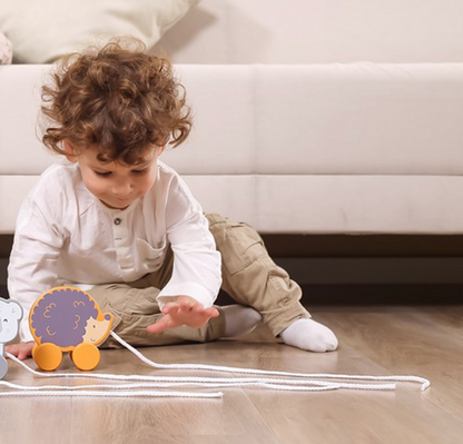 Puxa-Puxa Ouriço | Brinquedos educativos e montessori é com o Clube.toys!